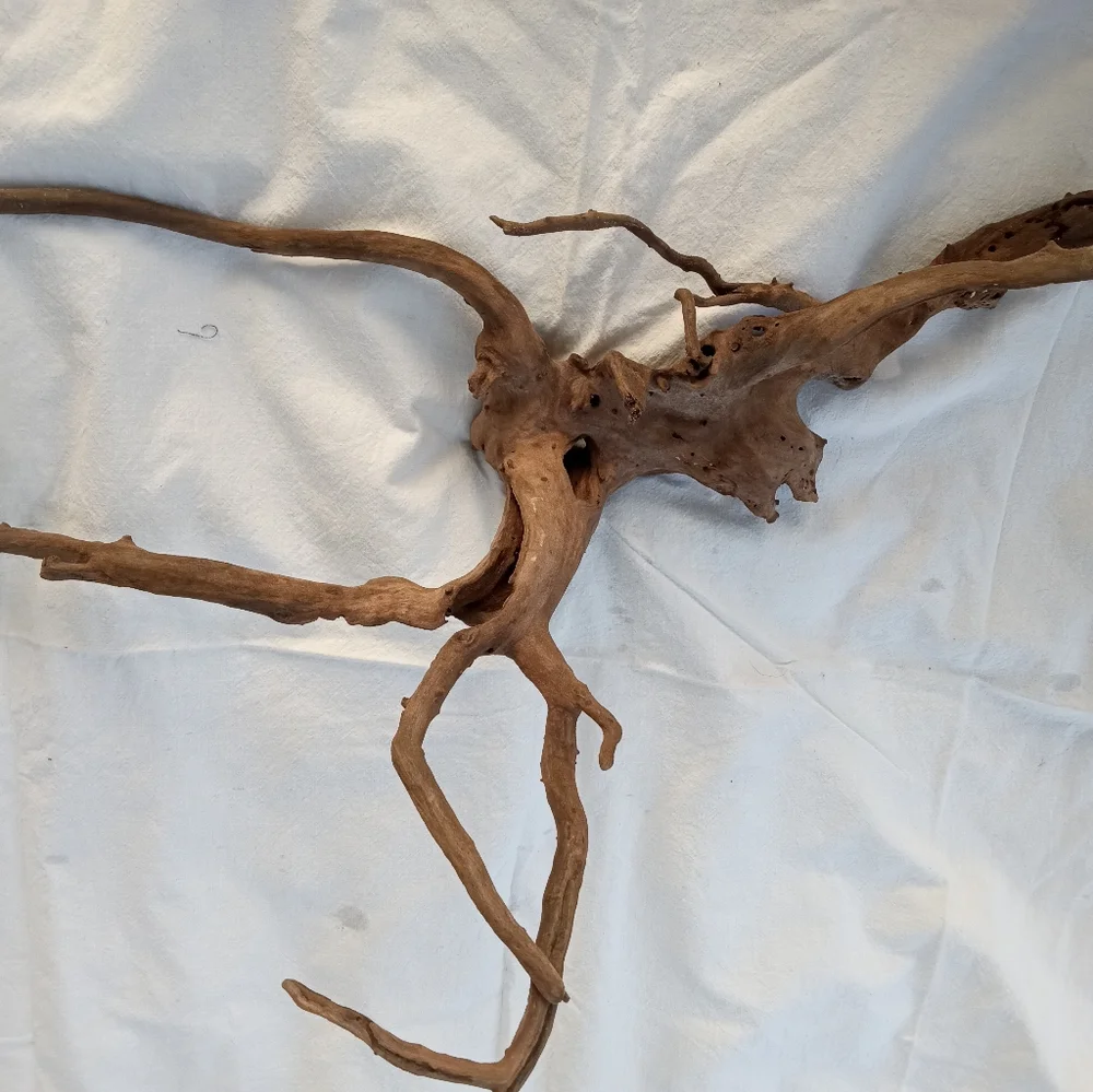 Driftwood natural raw and untouched from Florida
